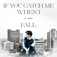 If You Catch Me When I Fall (電視劇《90後的我們》片頭曲) - Single by Bii album reviews, ratings, credits