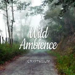 Wild Ambience - Single by Cryptesium album reviews, ratings, credits