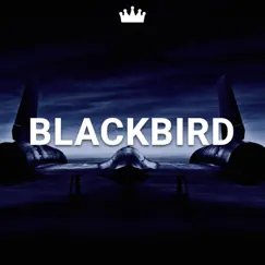 Blackbird - Single by KS Productions album reviews, ratings, credits