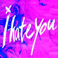 I hate you - Single by Visual Laboratory album reviews, ratings, credits