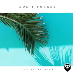 Don't Forget - Single by The Shine Blur album reviews, ratings, credits