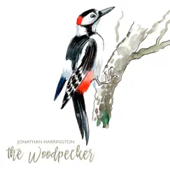 The Woodpecker - Single by Jonathan Harrington album reviews, ratings, credits