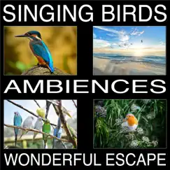 Singing Birds Ambiences, Wonderful Escape by Pat Barnes album reviews, ratings, credits