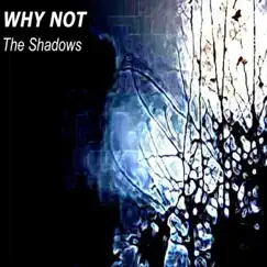 The Shadows by Why Not album reviews, ratings, credits