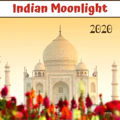 Indian Moonlight 2020 - New Age Meditation Music and Traditional Sounds from Bombay by Asana Perkins album reviews, ratings, credits