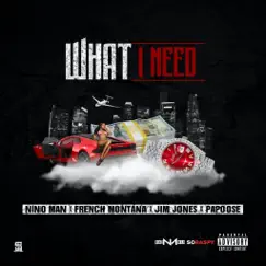 What I Need (Remix) [feat. French Montana, Jim Jones & Papoose] - Single by Nino Man album reviews, ratings, credits