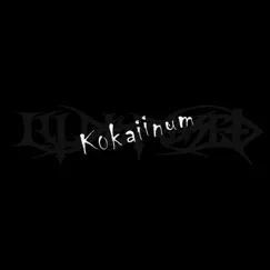 Kokaiinum by Illdisposed album reviews, ratings, credits