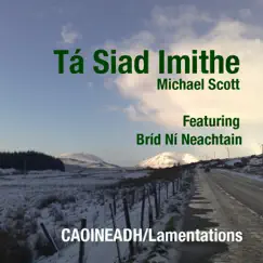 Ta Siad Imithe (They Have Gone) (feat. Bríd Ní Neachtain) - Single by Michael Scott album reviews, ratings, credits