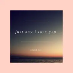 Just Say I Love You Song Lyrics