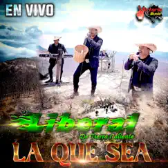 La Que Sea (En Vivo) Song Lyrics