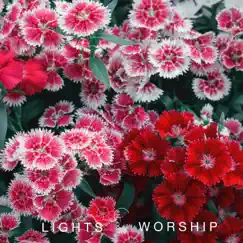 Bloom - Single by Lights Worship album reviews, ratings, credits