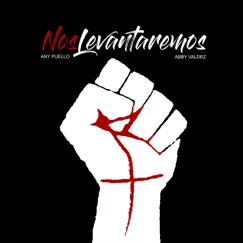 Nos Levantaremos - Single by Any Puello album reviews, ratings, credits