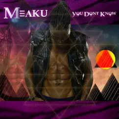 You Don't Know - Single by Meaku album reviews, ratings, credits
