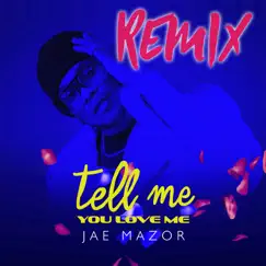 Tell Me You Love Me (Melodic Edit) Song Lyrics
