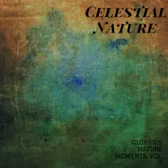 Celestial Nature - Glorious Nature Moments, Vol. 7 by Rain Sounds For Sleep, White Noise Meditation & Nature Sounds album reviews, ratings, credits