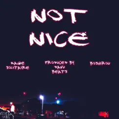 Not Nice (feat. Boshirou) Song Lyrics