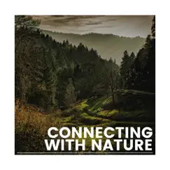 Connecting with Nature by Elements of Nature album reviews, ratings, credits