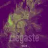 Llegaste - Single album lyrics, reviews, download