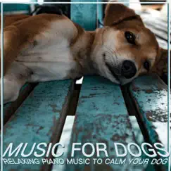 Music for Dogs: Relaxing Piano Music to Calm Your Dog by Relaxmydog, Dog Music Dreams & Pet Music Therapy album reviews, ratings, credits