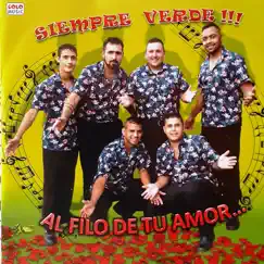 Al Filo de Tu Amor by Siempre Verde album reviews, ratings, credits