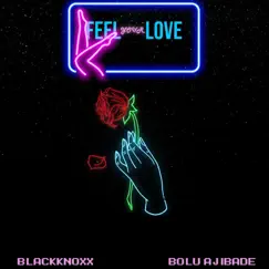 Feel Your Love (feat. Bolu Ajibade) - Single by Blackknoxx album reviews, ratings, credits
