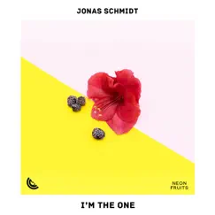 I'm the One - Single by Jonas Schmidt album reviews, ratings, credits