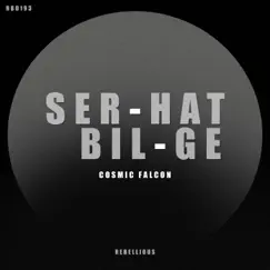 Cosmic Falcon - Single by Serhat Bilge album reviews, ratings, credits