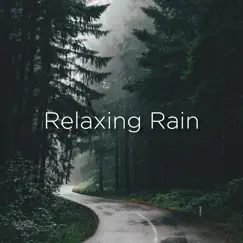 Peaceful Light Rain Song Lyrics