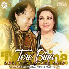 Tere Bina Rogi Hoye Pyase Nain Song Lyrics