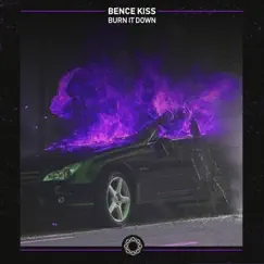 Burn It Down - Single by Bence Kiss album reviews, ratings, credits
