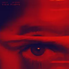 Fatal Temper (AK Remix) - Single by Sublab album reviews, ratings, credits