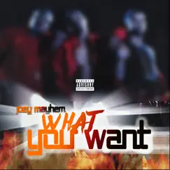 What You Want - Single by Joey Mayhem album reviews, ratings, credits