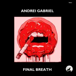 Final Breath - Single by Andrei Gabriel album reviews, ratings, credits