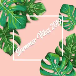 Summer Vibes 2019: Best Chill Out Selection, Top 100, Bar Lounge, Ibiza Beach Party, Electro House by Dj. Juliano BGM album reviews, ratings, credits