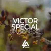 Opus of Hope - Single album lyrics, reviews, download