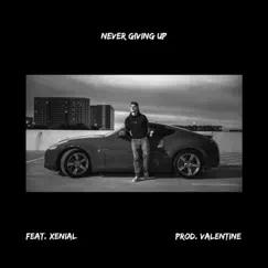 Never Giving Up (feat. Xenial) - Single by Yung Delirious album reviews, ratings, credits