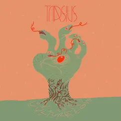 Culture Cow by Tarsius album reviews, ratings, credits