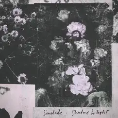 Shadows & Light (feat. Chelsea Wolfe & Chino Moreno) - Single by Saudade album reviews, ratings, credits