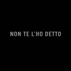 Non te l'ho detto Song Lyrics