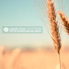 Devotion (Morten Granau & Zyce Remix) - Single by Liquid Soul album reviews, ratings, credits