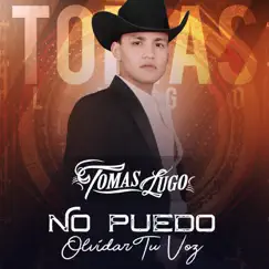 No Puedo Olvidar Tu Voz - Single by Tomas Lugo album reviews, ratings, credits