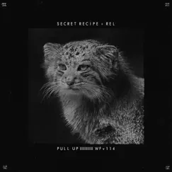 Pull Up - Single by Rel & Secret Recipe album reviews, ratings, credits