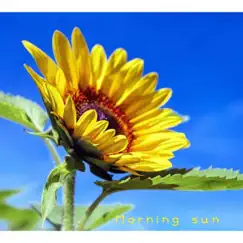 Morning sun - Single by 高山華奈 album reviews, ratings, credits