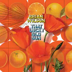 That Lucky Old Sun by Brian Wilson album reviews, ratings, credits
