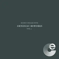 Amnesiac Reworks Vol. 2 by Echo Collective album reviews, ratings, credits