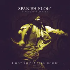I Got You (I Feel Good) - Single by Acoustic System & Spanish Flow album reviews, ratings, credits