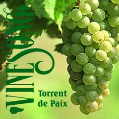 Torrent De Paix by Vinesong album reviews, ratings, credits