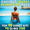Dronezones (Chill Out Lounge Relaxation 2020 DJ Mixed) song lyrics