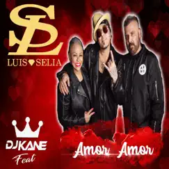 Amor Amor (feat. DJ Kane) Song Lyrics