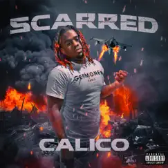 Scarred - Single by WYN Calico album reviews, ratings, credits
